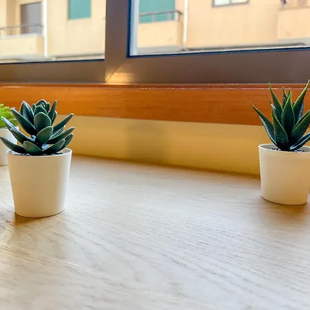 - De Furadouro - Rico's Homes * Ovar