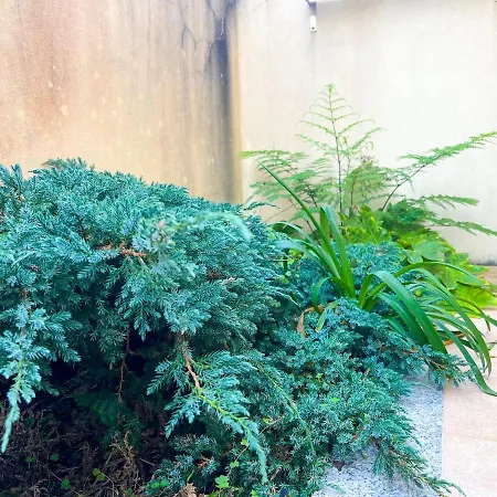 - De Furadouro - Rico's Homes شقة *