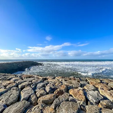 - De Furadouro - Rico's Homes 公寓 欧瓦