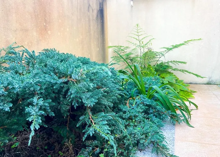 - De Furadouro - Rico's Homes شقة *