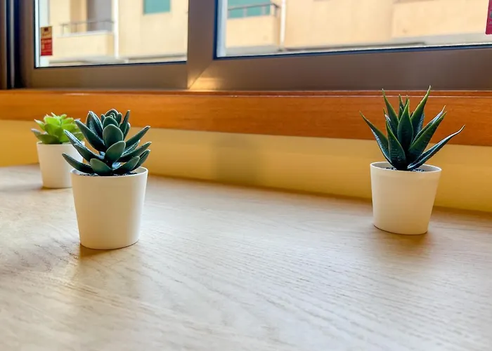 - De Furadouro - Rico's Homes * أوفار